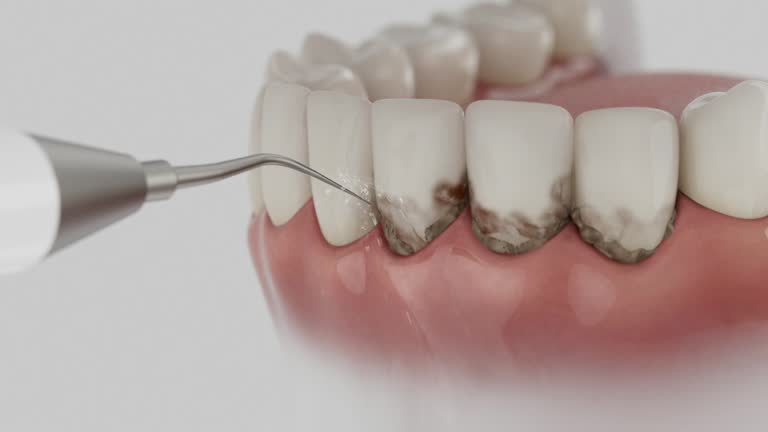 Reliable Dental contractor in Merriam Woods, MO by Dentist Open Now